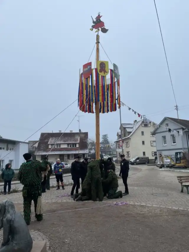 Narrenbaum Stellen – Foto 7